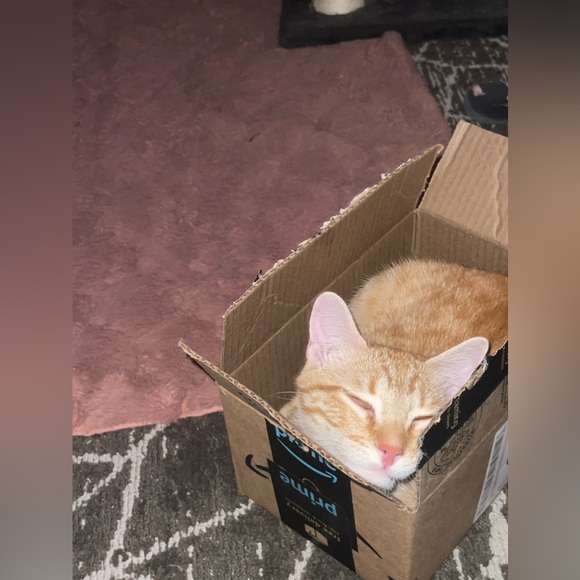 @Bluntbabe702 is LIVE, SHARING YOURS!! 🛍️ BAGS & ACCESSORIES 🛍️ - Picture 8 of 9